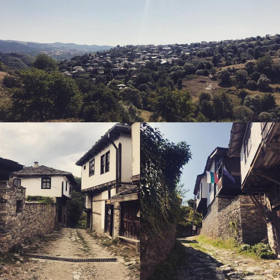 Sharkov Guest House Dolen  外观 照片