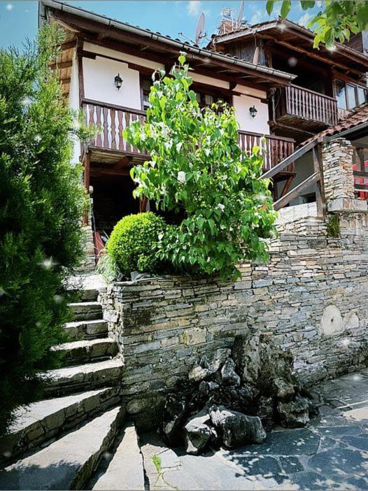Sharkov Guest House Dolen  外观 照片