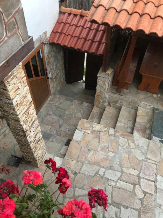 Sharkov Guest House Dolen  外观 照片